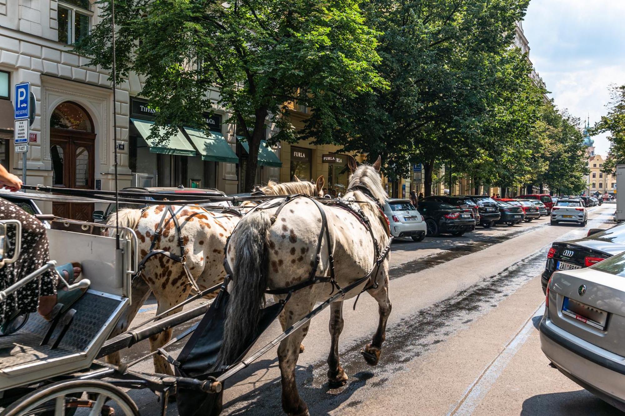 Wishlist Prague Residences - Old Town Bilkova מראה חיצוני תמונה
